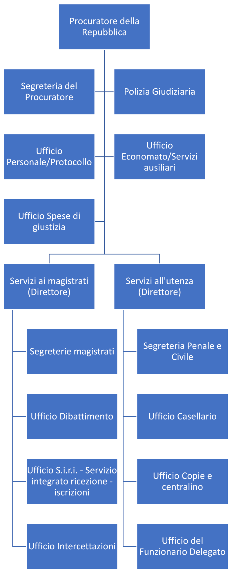 Organigramma
